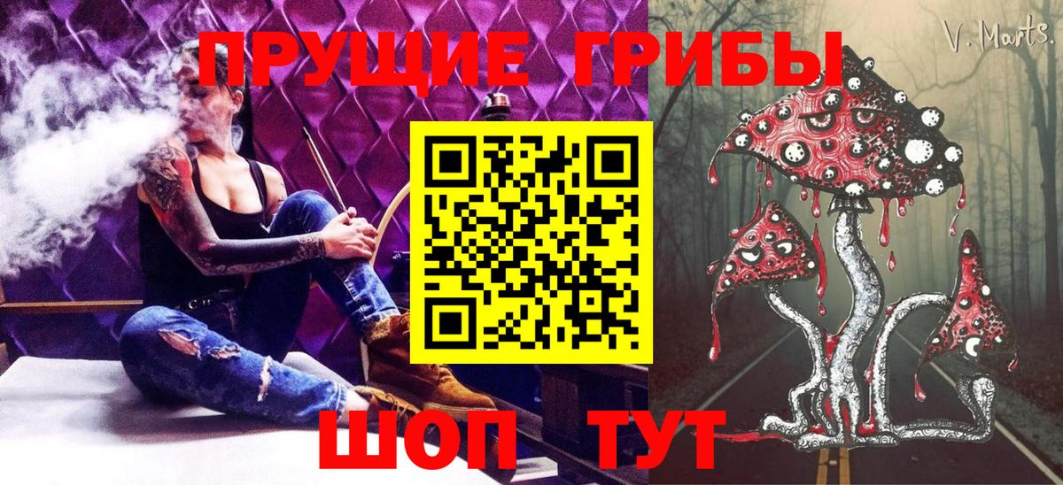 Кстово  Псилоцибиновые грибы Psilocybine cubensis  Вход с VPN 