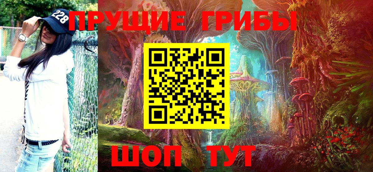 Псилоцибиновые грибы мицелий Кстово